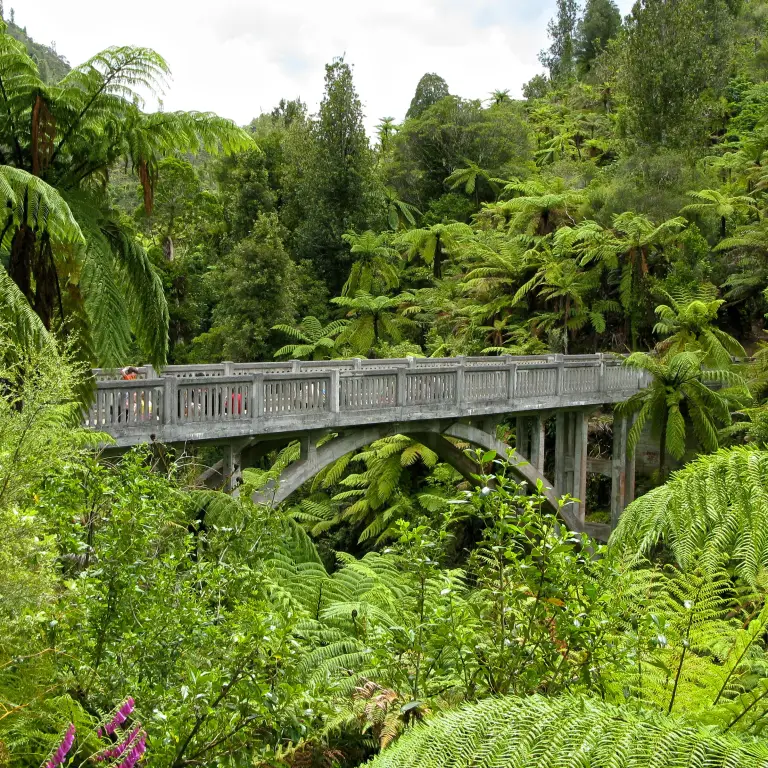 De Bridge to Nowhere in het Whanganui National Park