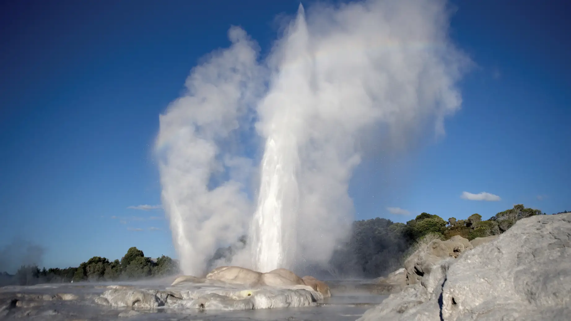 Geysir in Rotorua Neuseeland