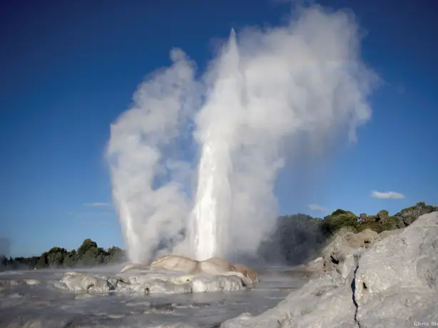 Geysir in Rotorua Neuseeland
