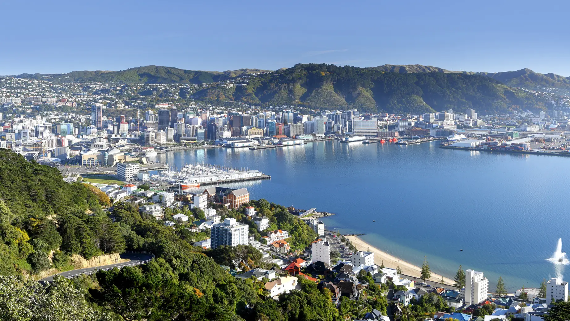 Nz wellington mount victoria itinerary