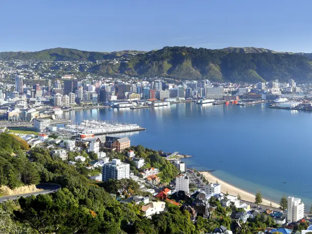 Nz wellington mount victoria itinerary