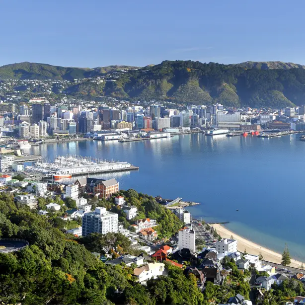 Nz wellington mount victoria itinerary