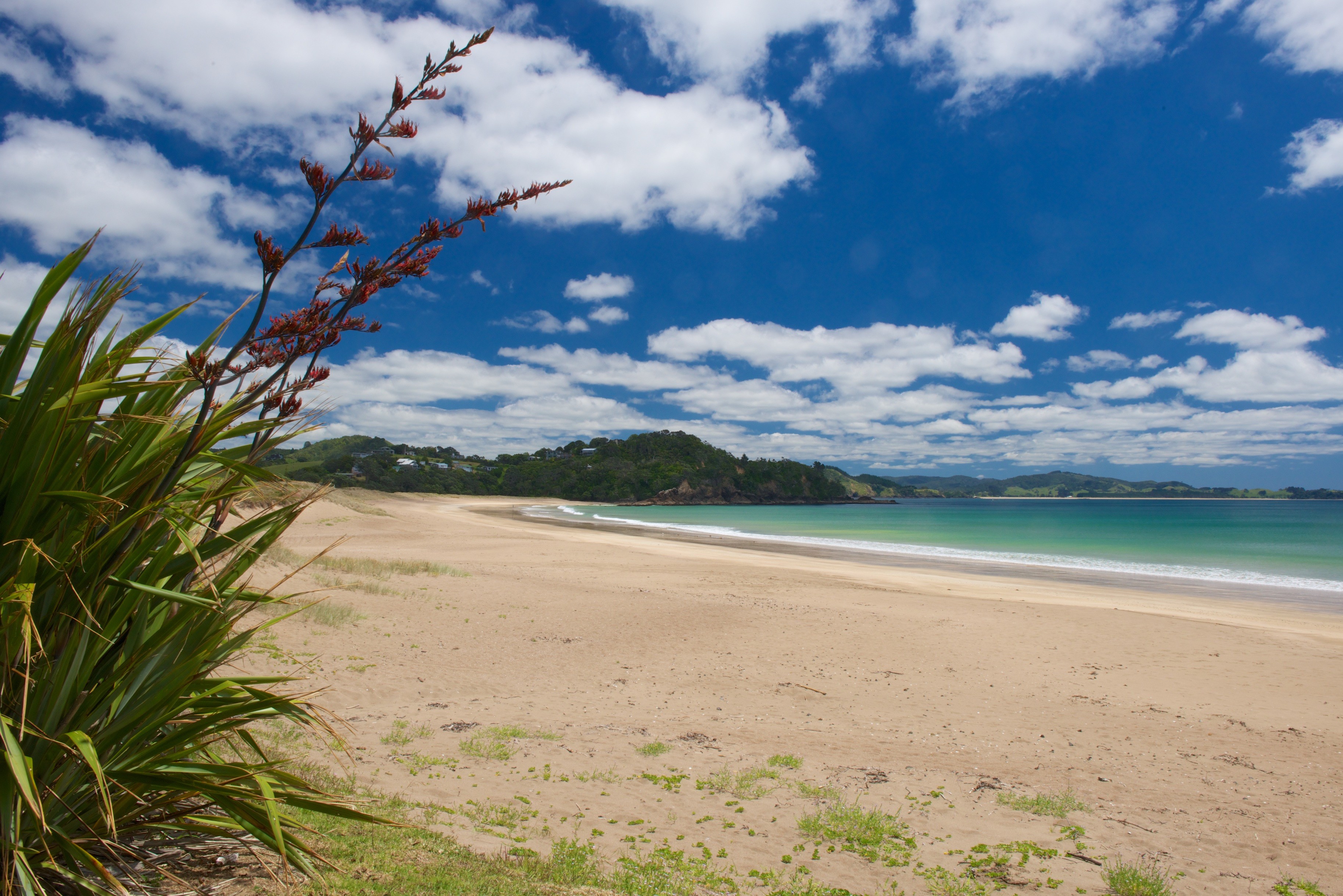 Neuseeland Whangarei und Tutukaka Coast Strand