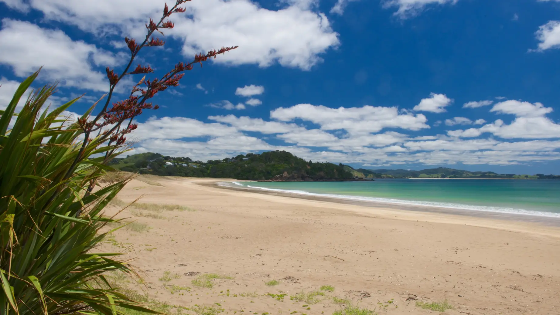 Neuseeland Whangarei und Tutukaka Coast Strand