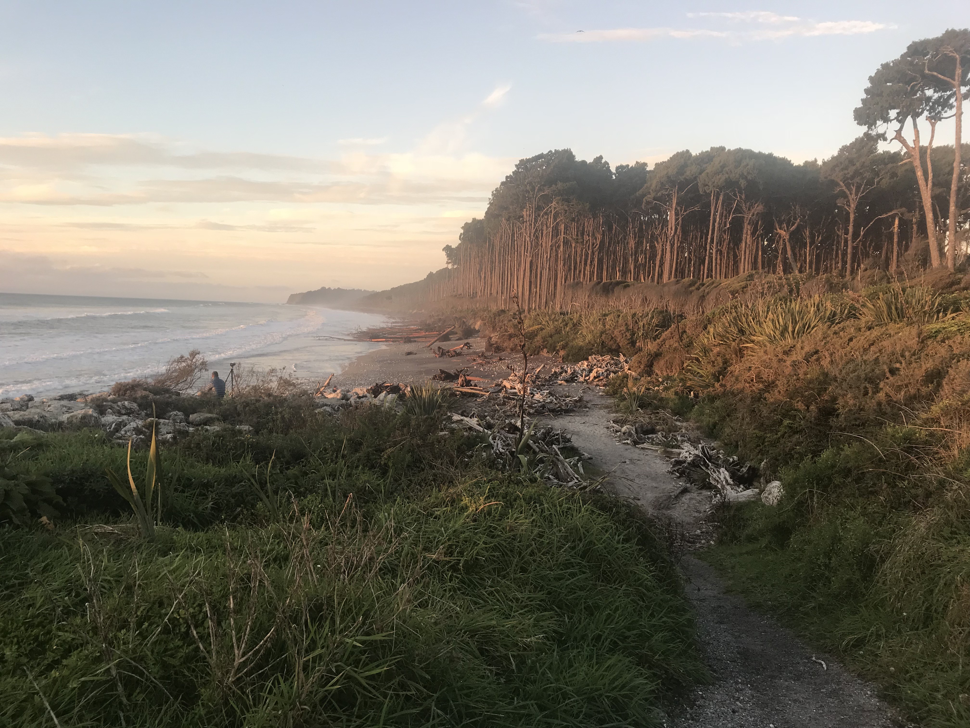 Nz sunset west coast hokitika itinerary
