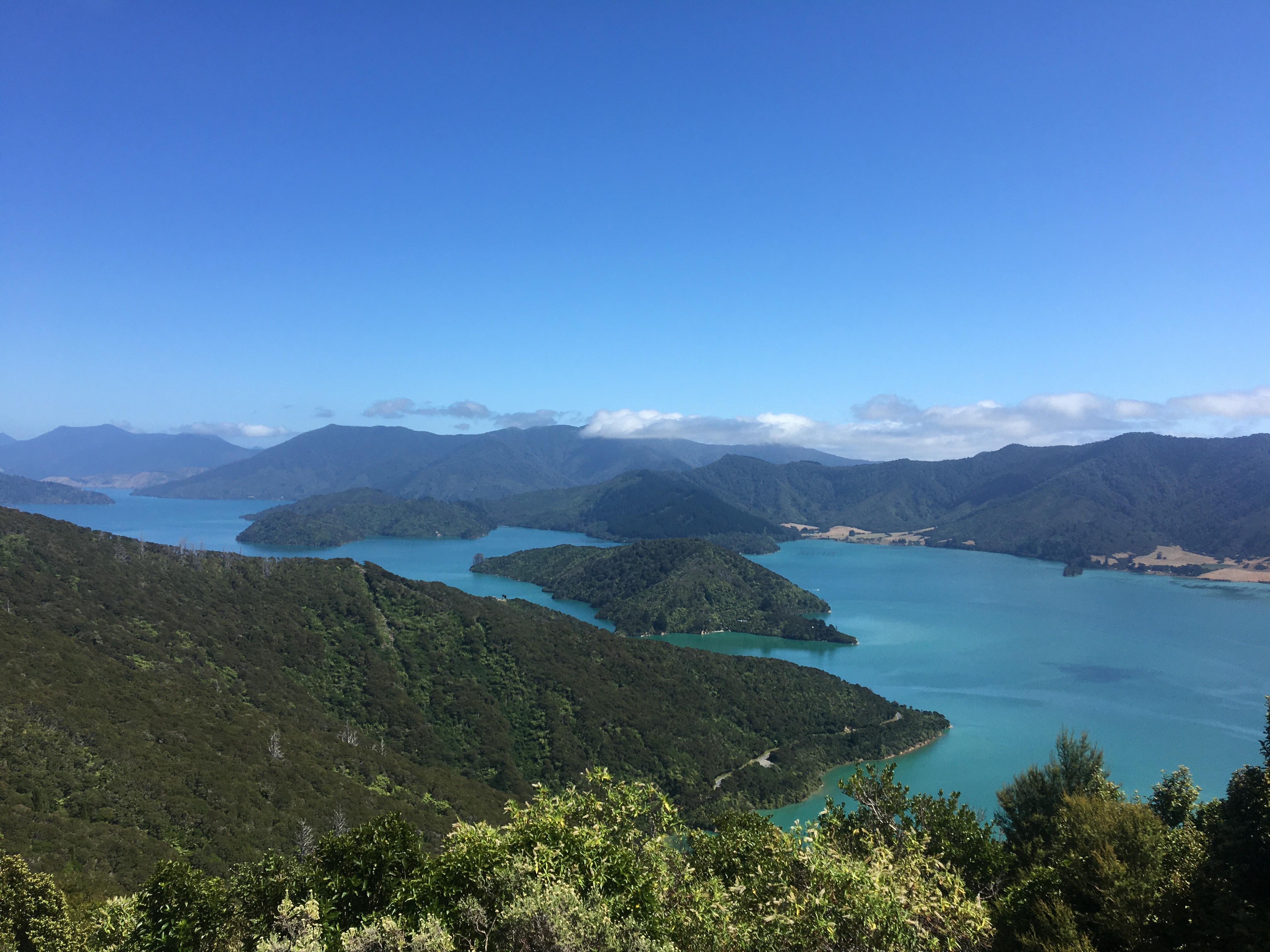Nz queen charlotte sounds viewpoint 3