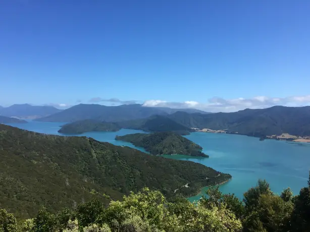 Nz queen charlotte sounds viewpoint 3