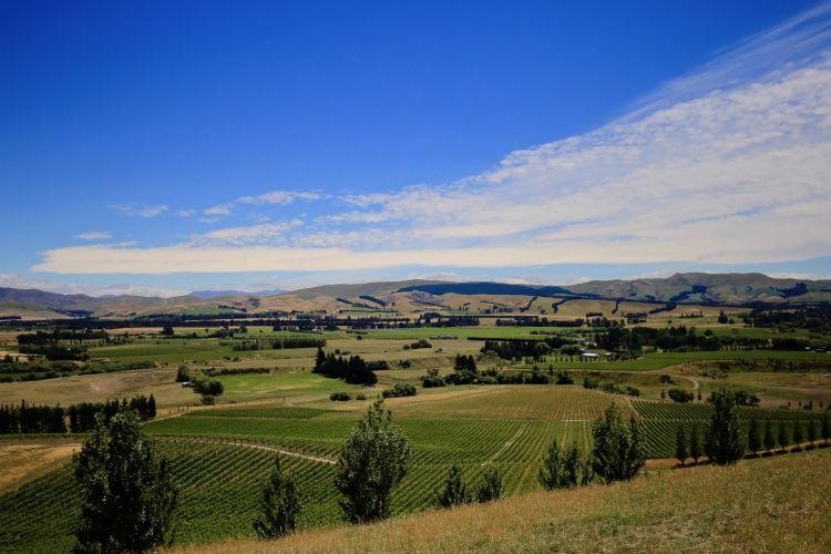 Nz waipara valley place 1