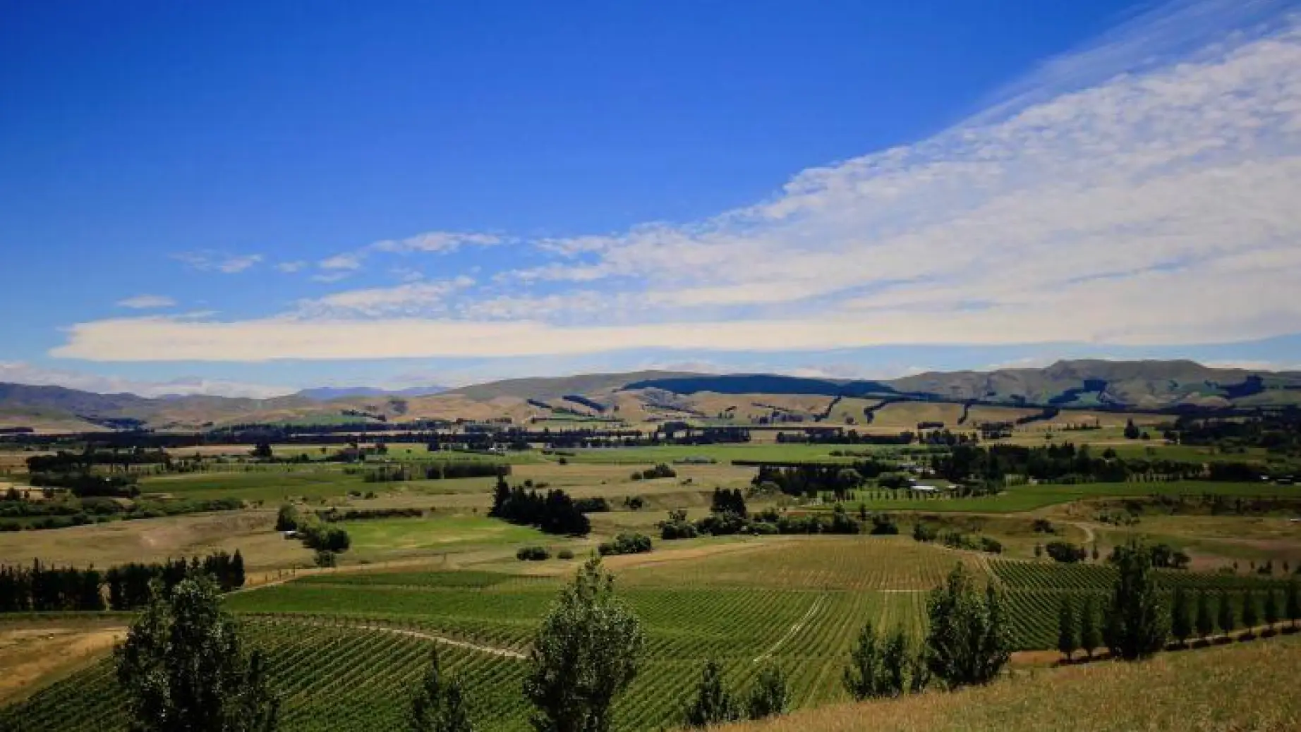 Nz waipara valley place 1