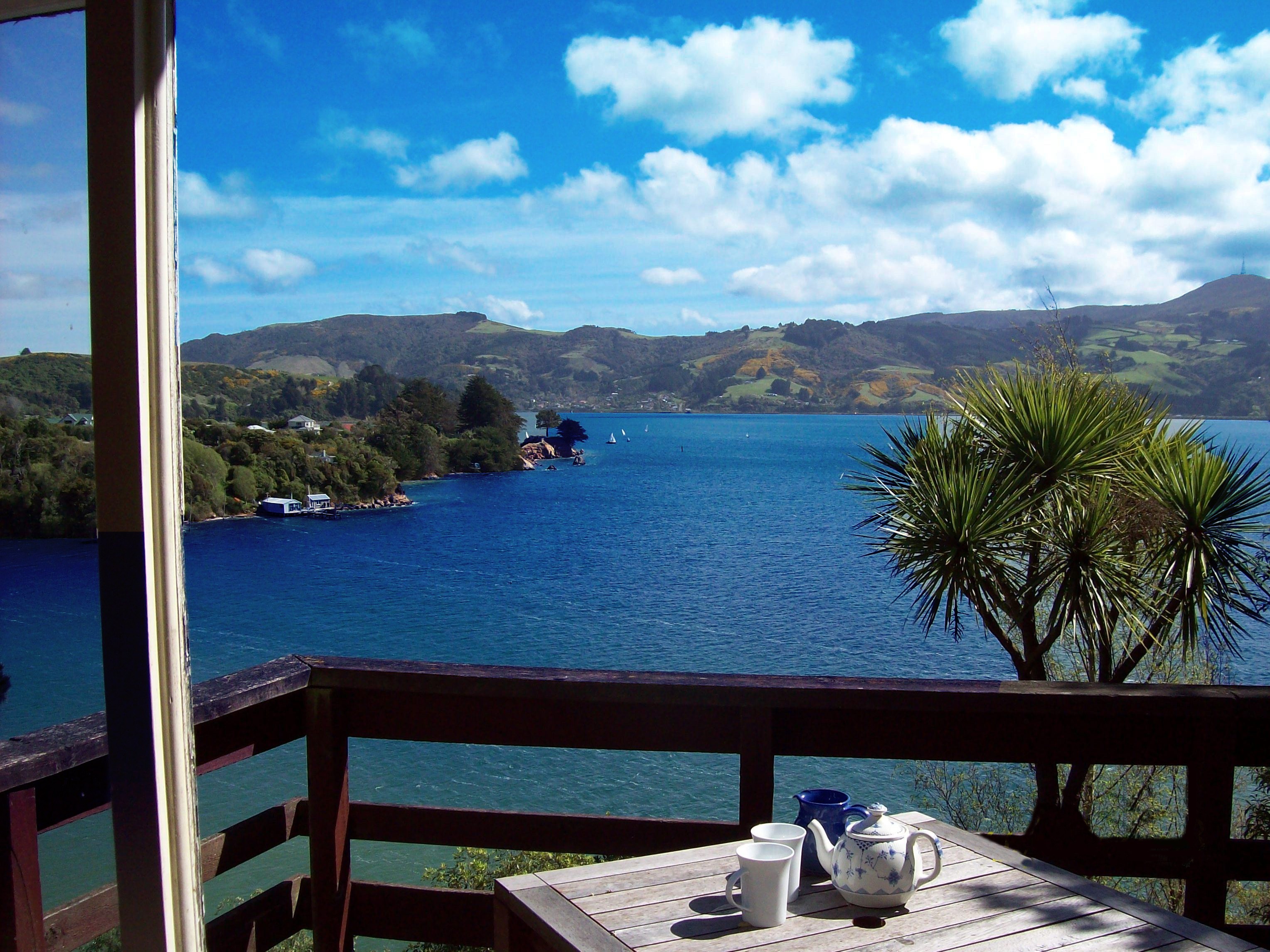 Nz coastal otago kanuka cottage view family comfortable