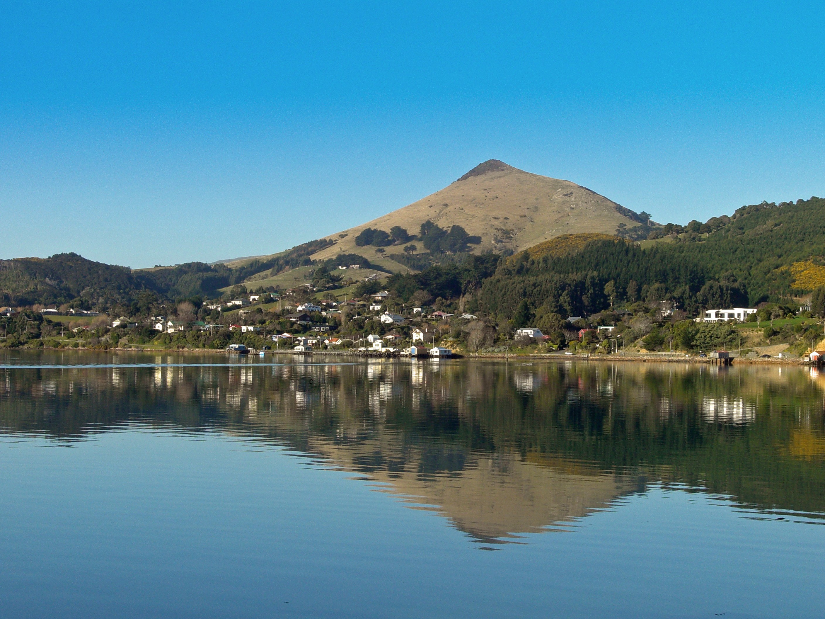Nz coastal otago kanuka cottage family comfortable
