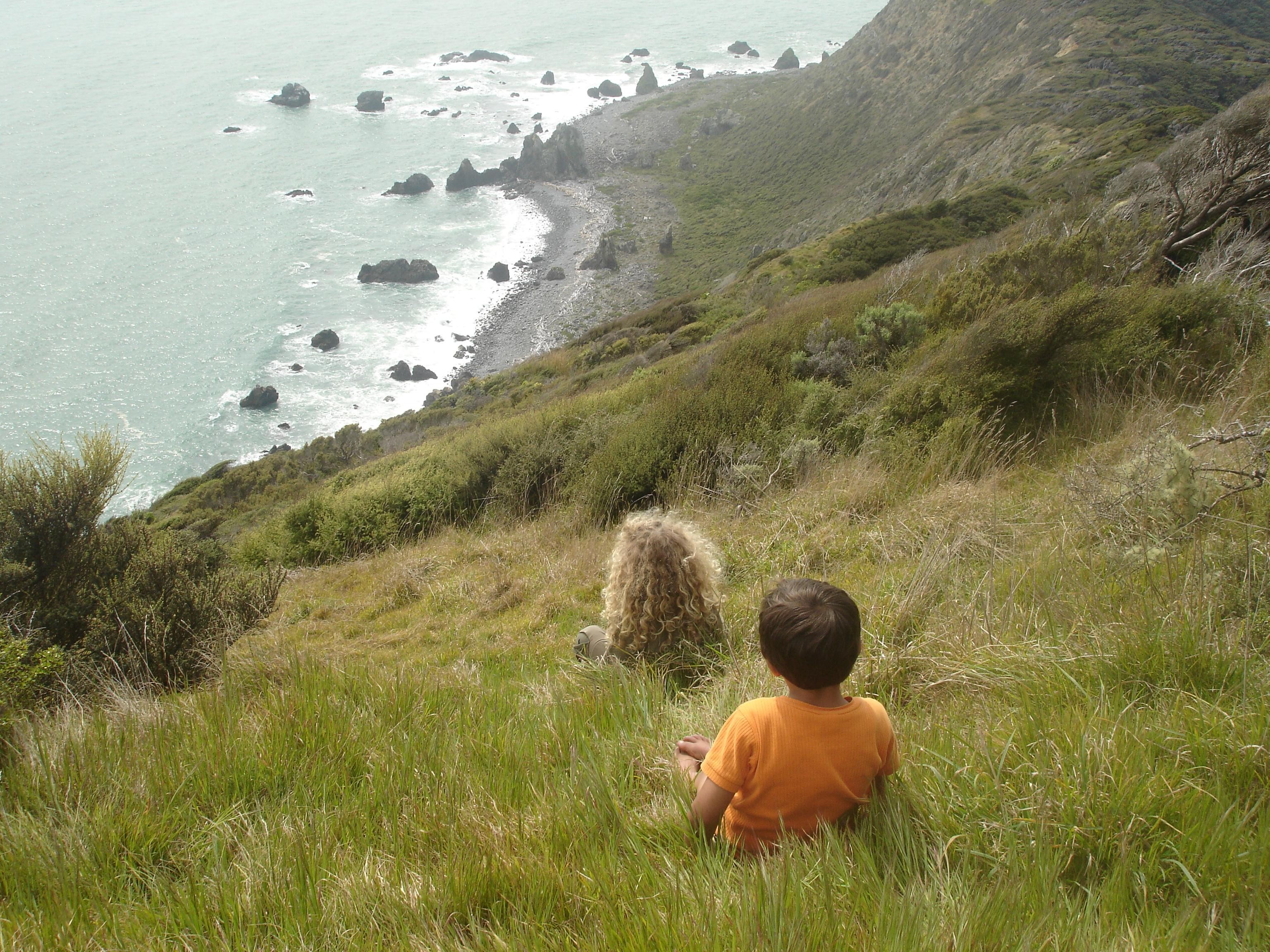 Nz kapiti island cabin kids view family stays very comfortable