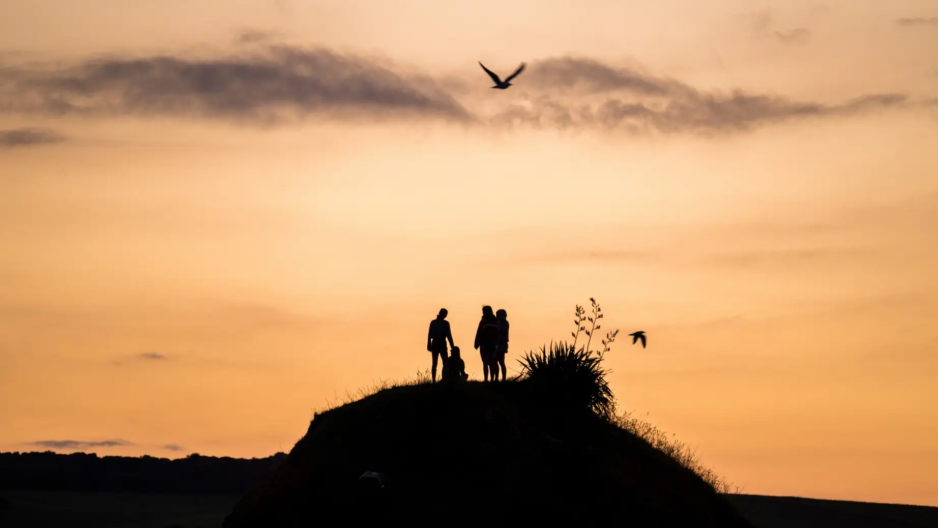 Nz tawharanui family sunset 1 joshua mccormack family primary header