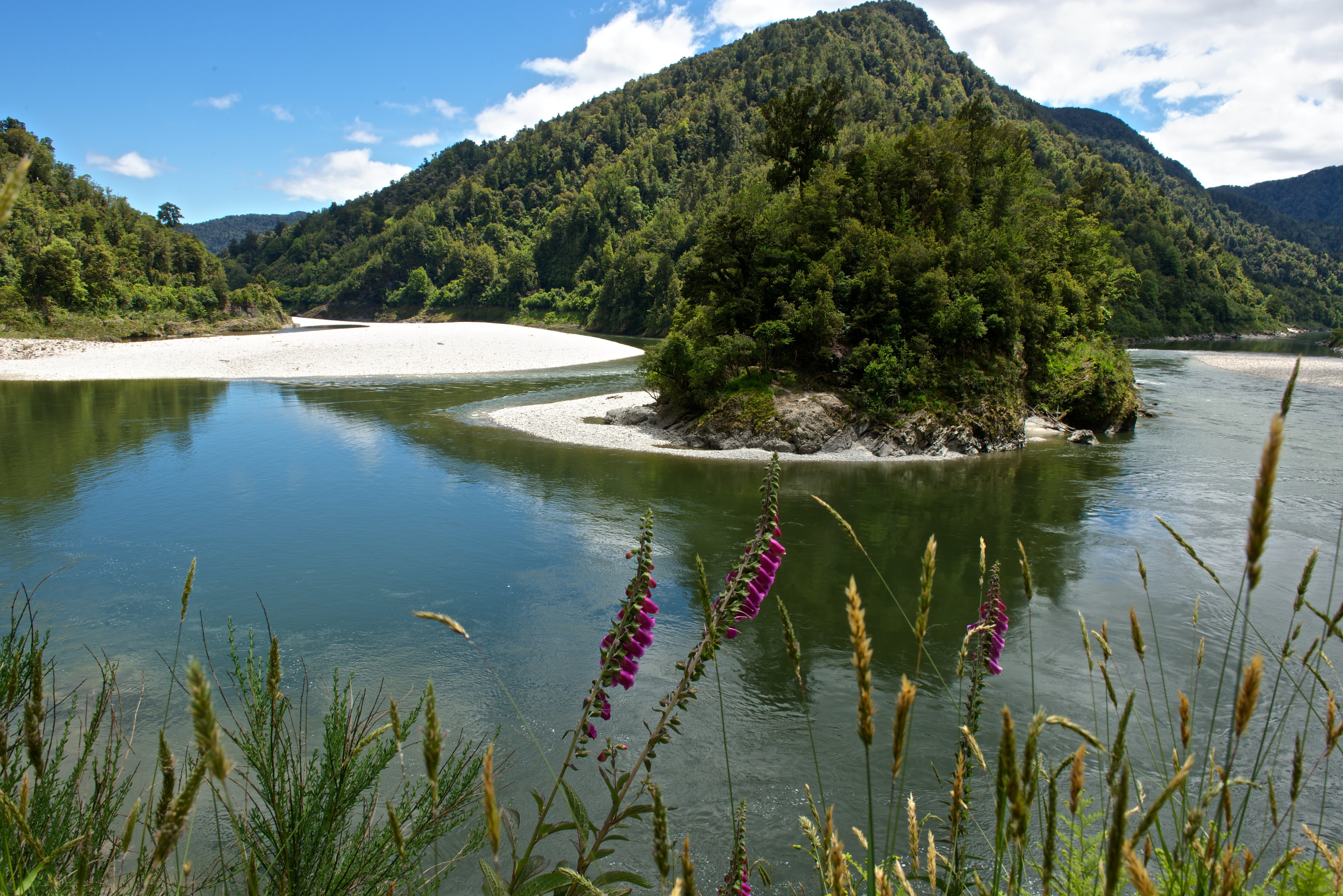 Nz lewis pass lake nature family under5 medium car