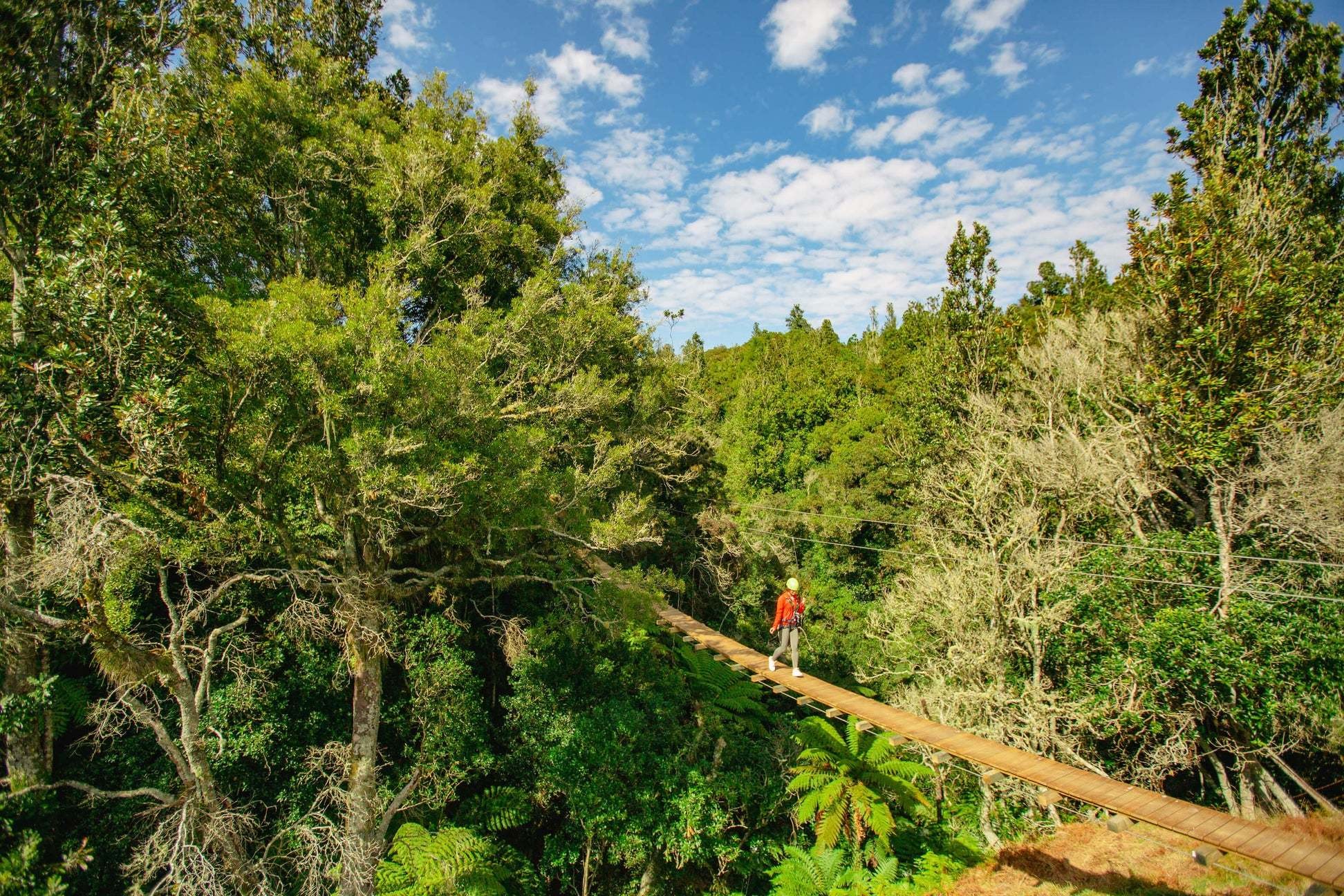 6629 Rotorua Ziplines3