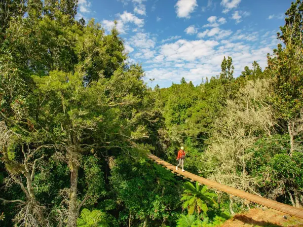 6629 Rotorua Ziplines3