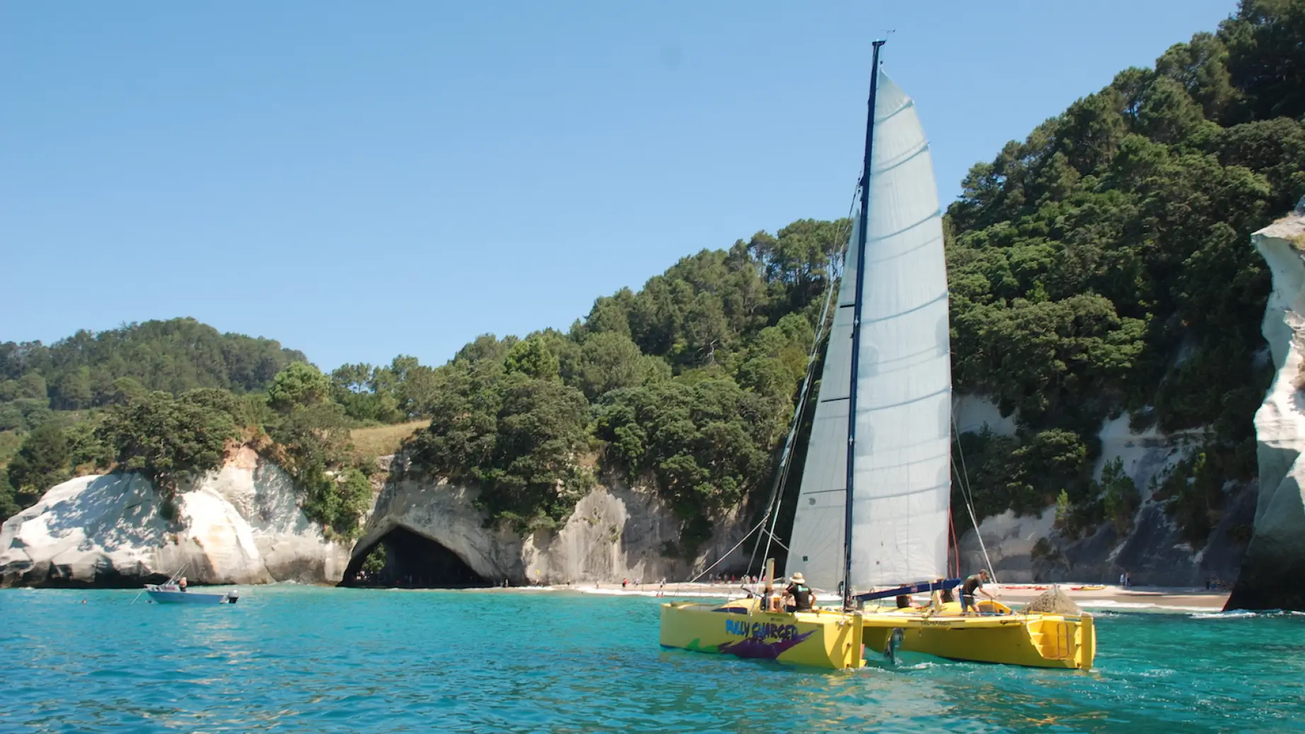 A yellow catamaran sailing around the Coromandel Coast with rocky cliffs and trees in the background
