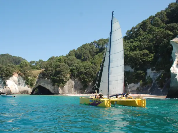 A yellow catamaran sailing around the Coromandel Coast with rocky cliffs and trees in the background