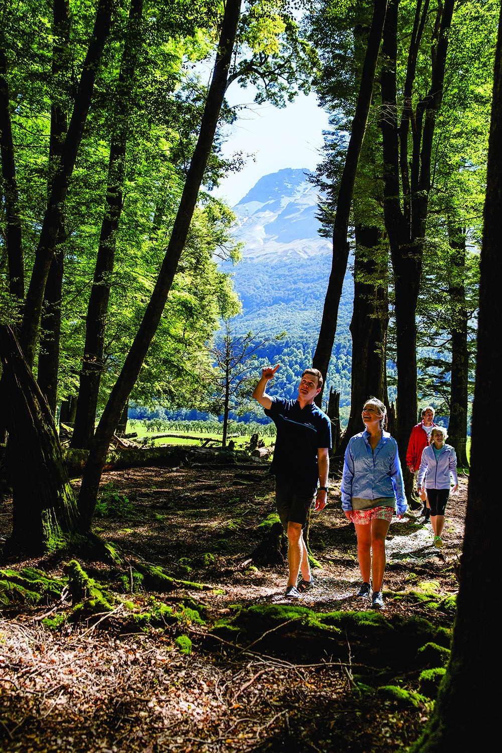 Gruppe von Wanderern wandert durch Wald in Neuseeland