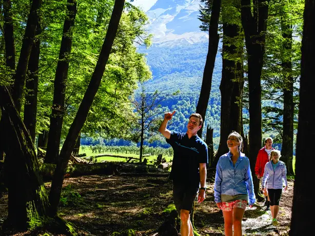 Gruppe von Wanderern wandert durch Wald in Neuseeland