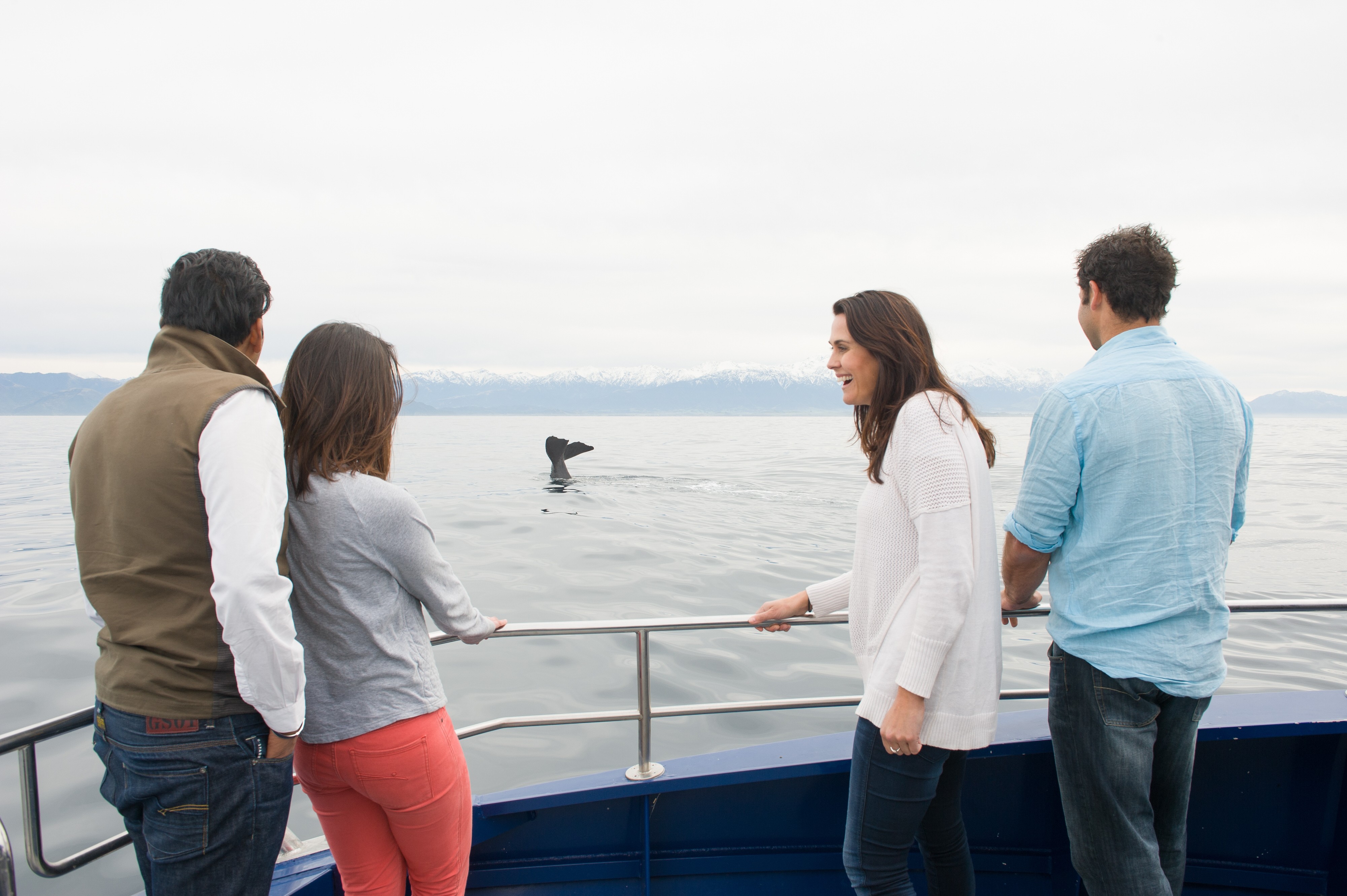 Nz kaikoura whale watching boat people family see and do easy going