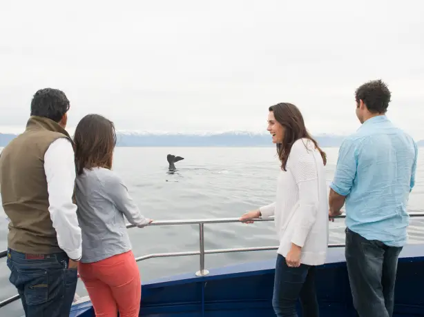 Nz kaikoura whale watching boat people family see and do easy going
