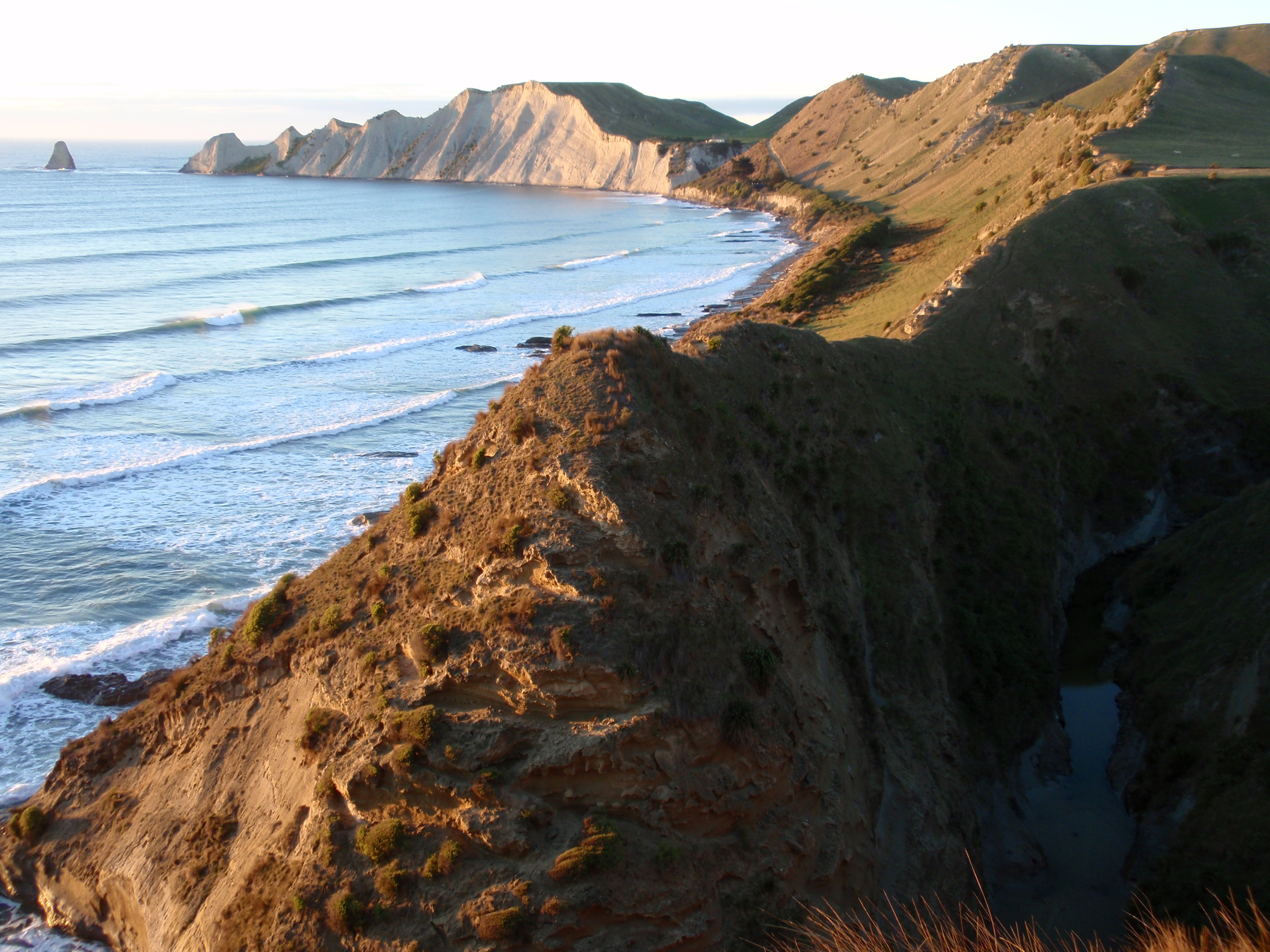 Neuseeland cape kidnappers tölpel safari