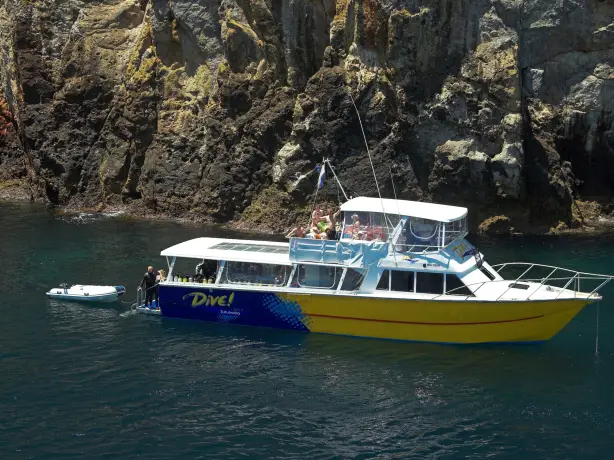 Neuseeland poor knights islands bootsfahrt bootsausflug unterwasser ausguck tauchgang