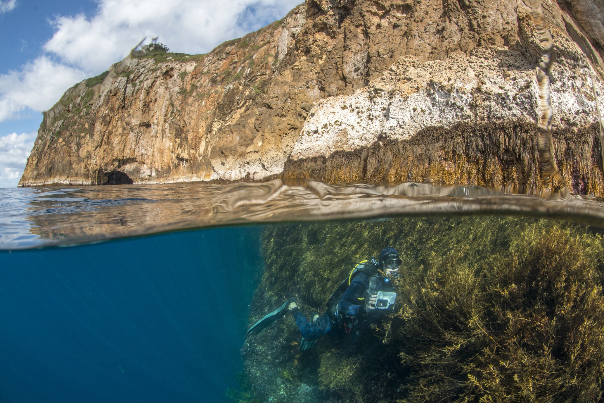 Nz poor knights islands diving photo family see and do adventurous