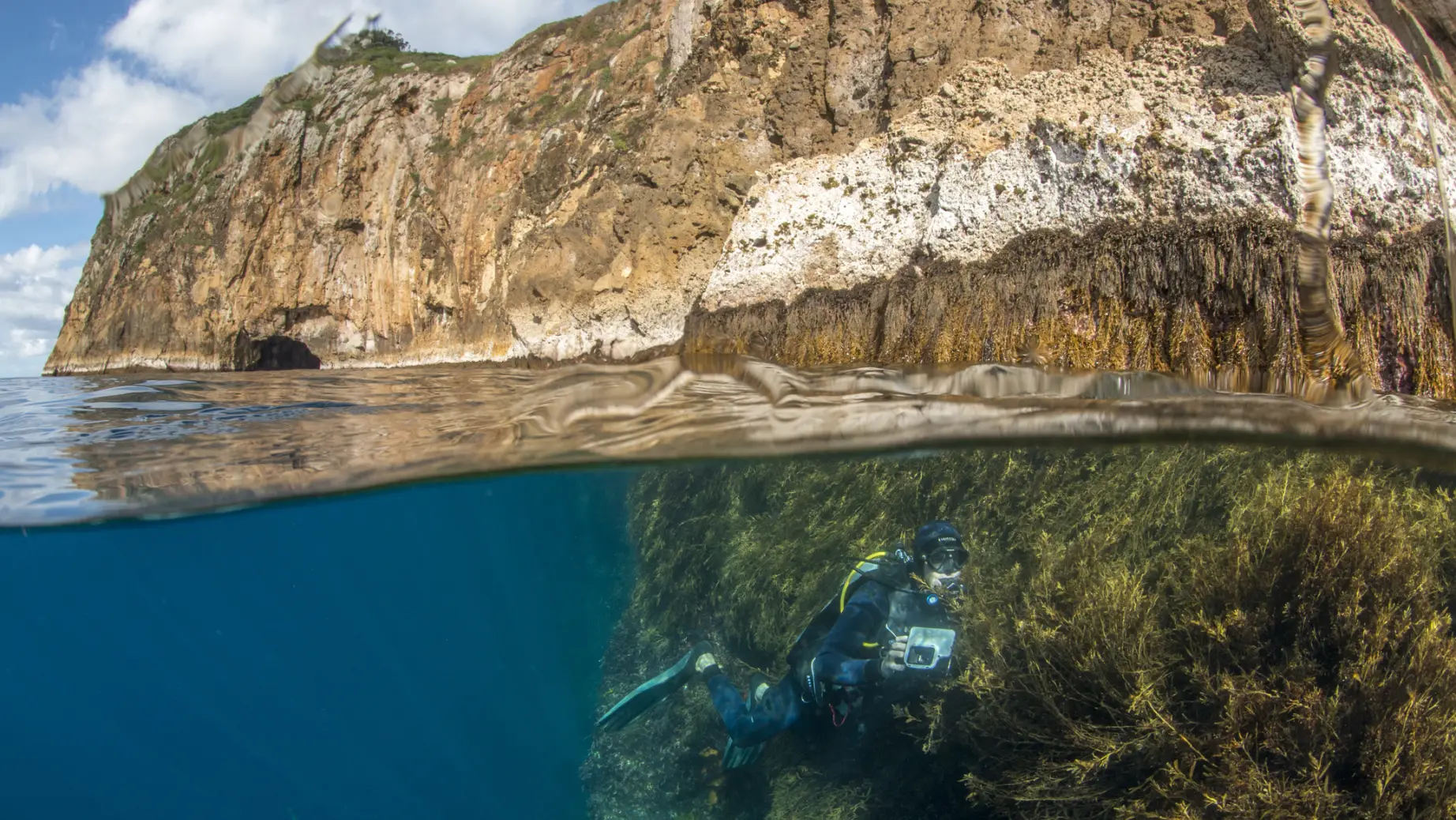 Nz poor knights islands diving photo family see and do adventurous