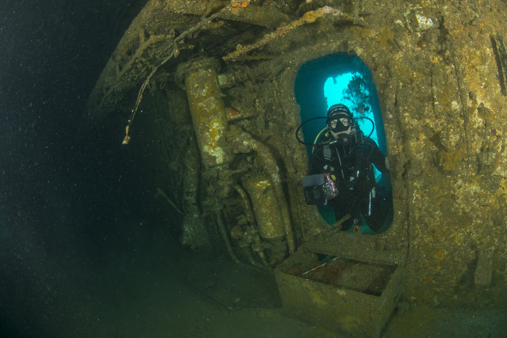 Nz poor knights islands diving underwater world family see and do adventurous