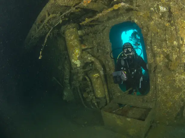Nz poor knights islands diving underwater world family see and do adventurous