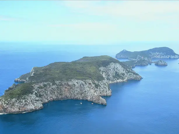 Neuseeland poor knights islands Luftaufnahme Inseln im Meer