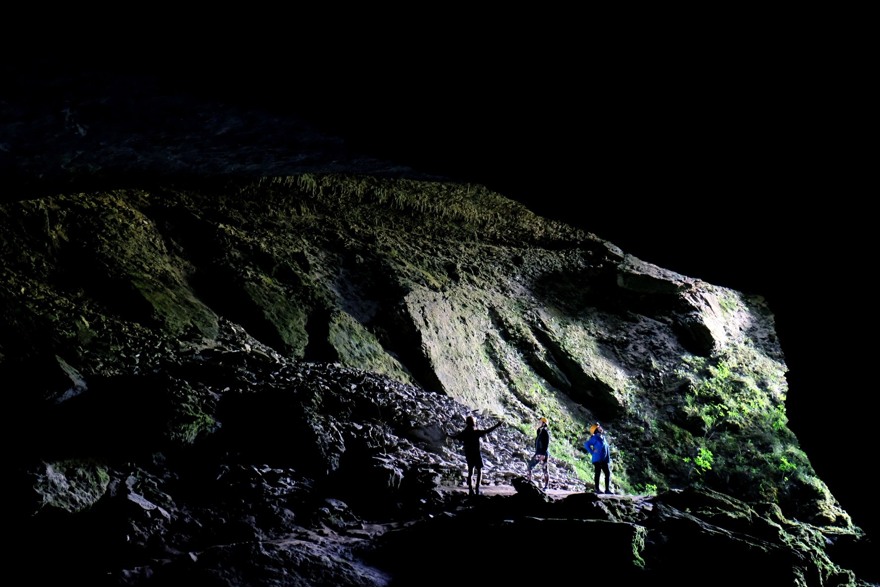 Nz paparoa national park caves view family see and do adventurous