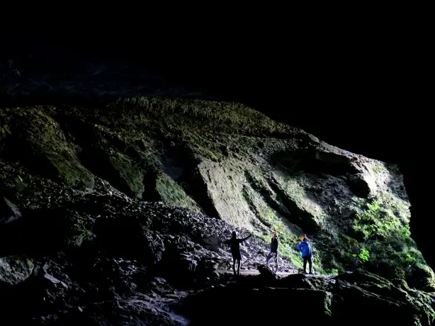 Nz paparoa national park caves view family see and do adventurous