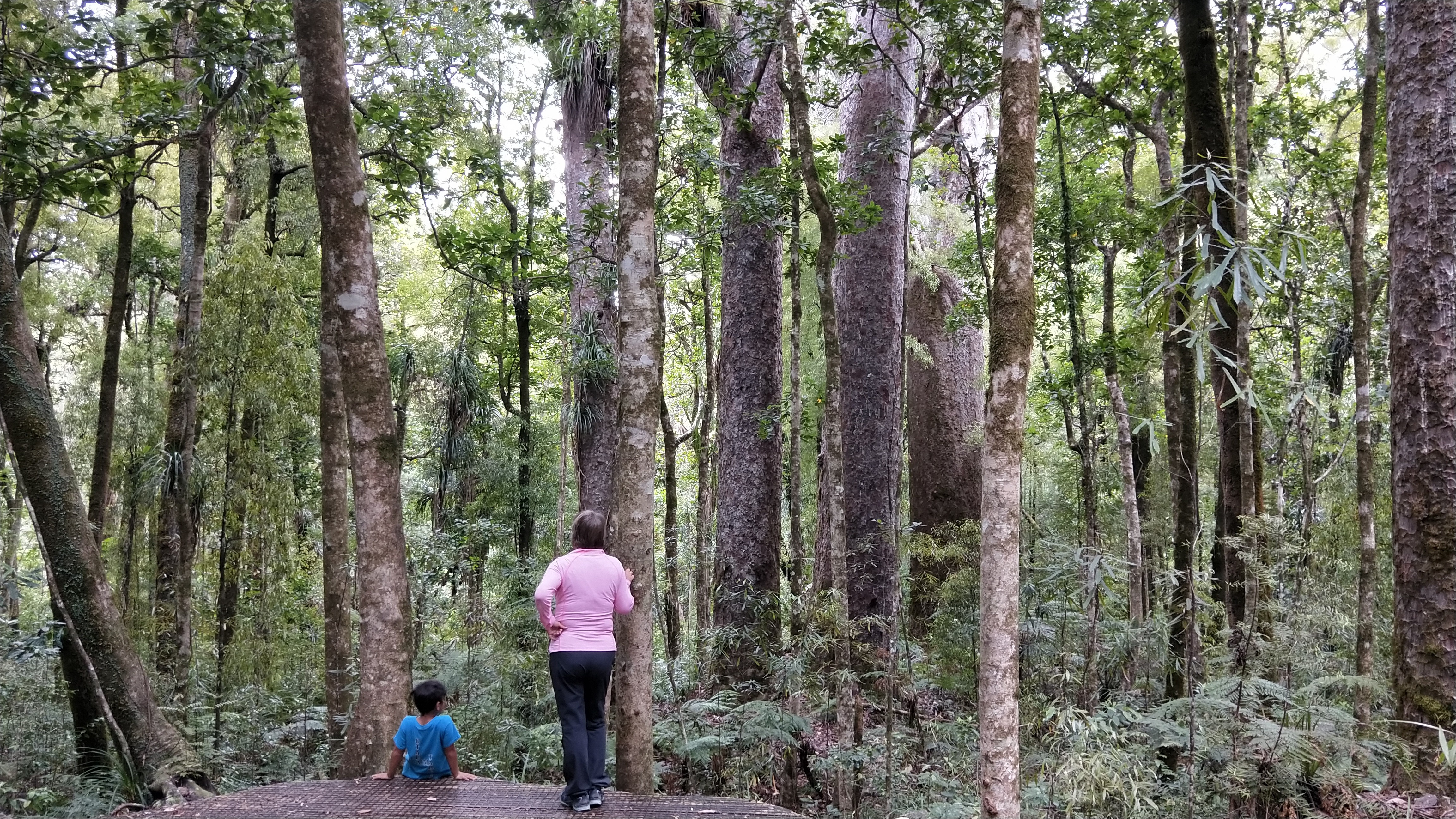 Nz whispering trails 1 family easy going