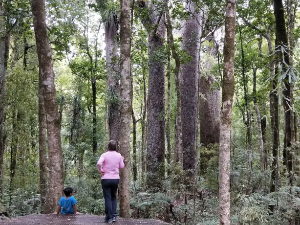 Nz whispering trails 1 family easy going