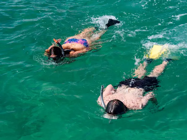 Nz bay of islands sailing catamaran snorkeling friends see and do easy going