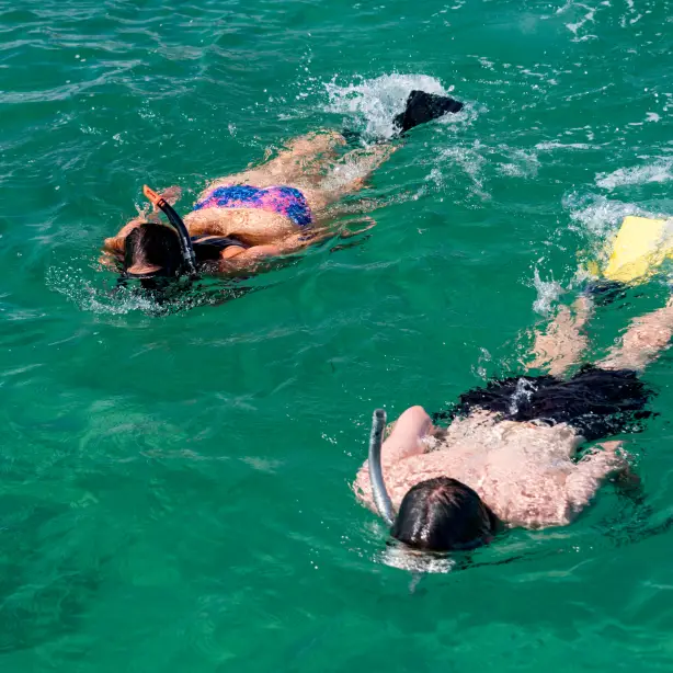 Nz bay of islands sailing catamaran snorkeling friends see and do easy going