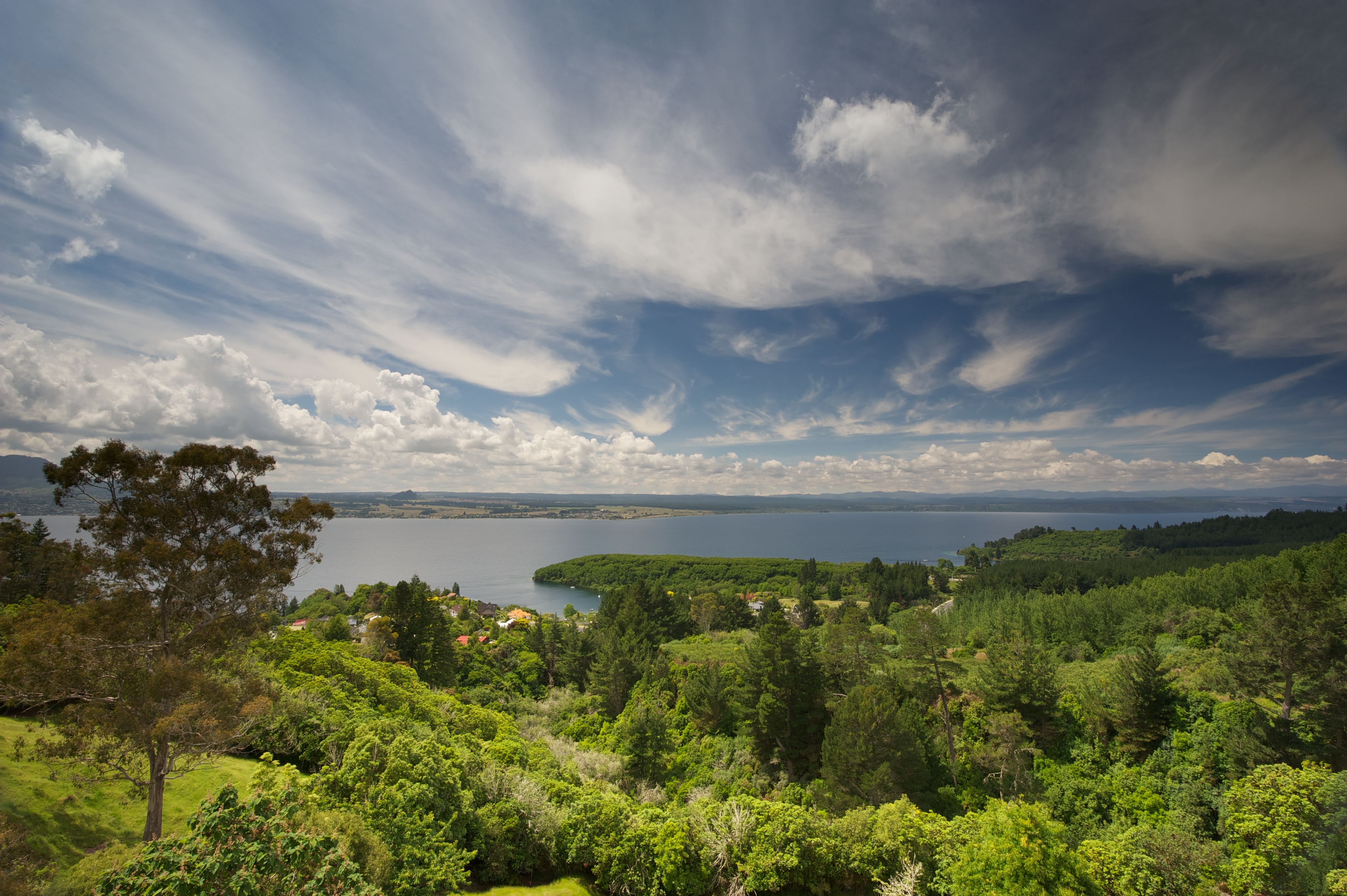 Nz taupo boutique lodge nature view friends stays very comfortable