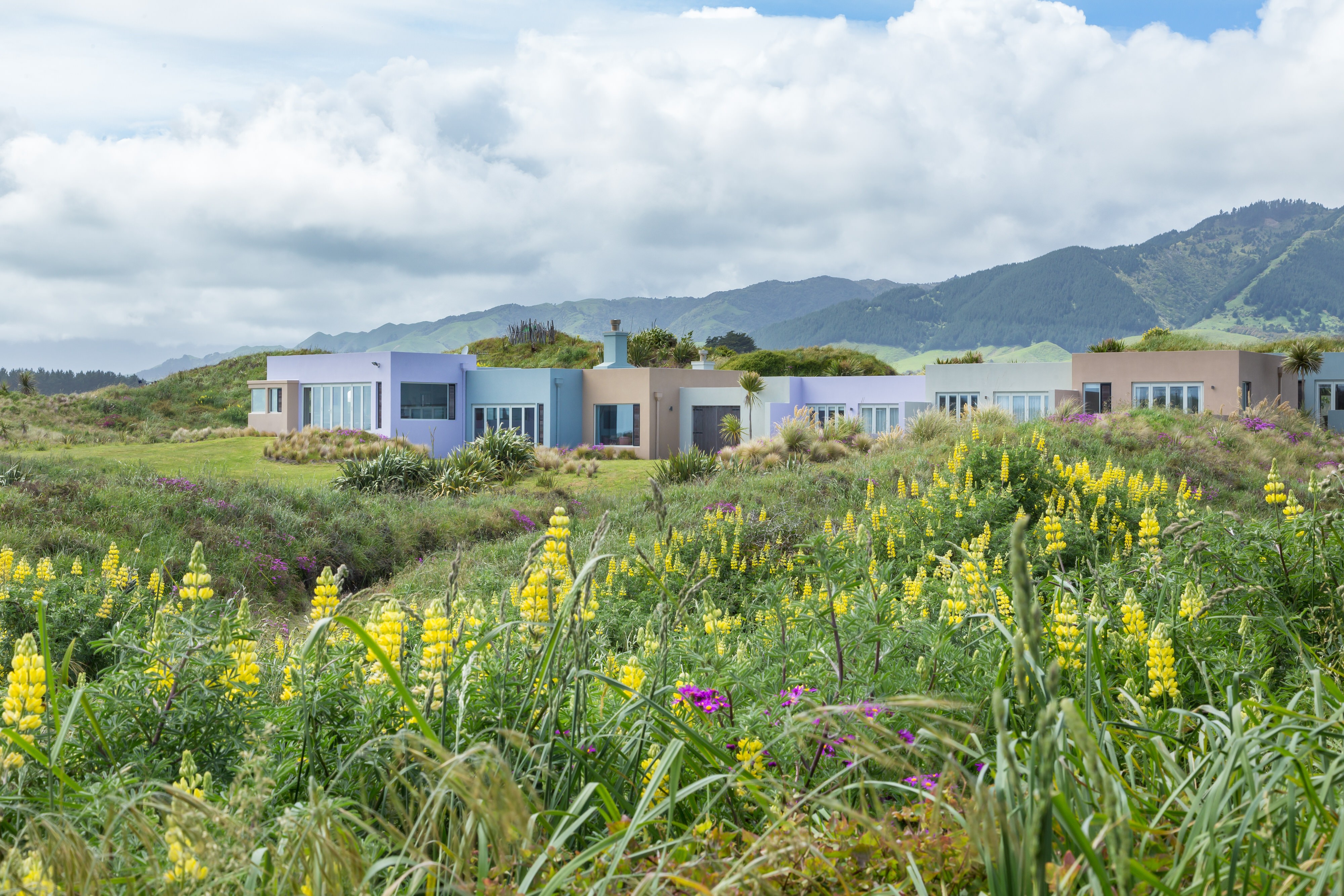 Nz kapiti coast suites outside view friends stays luxury
