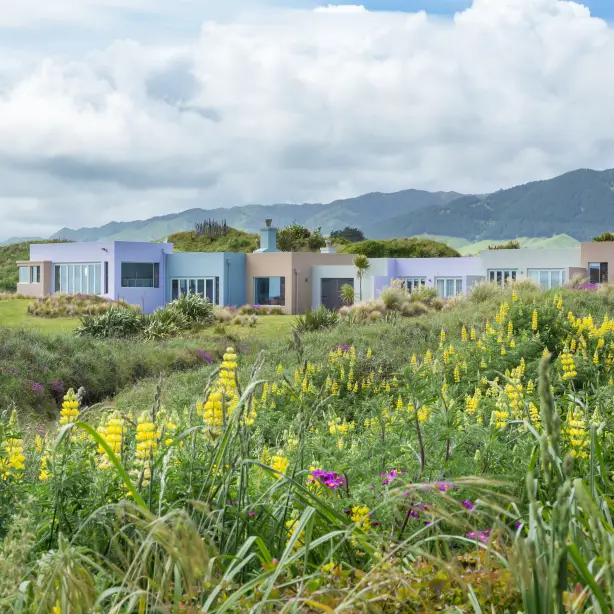 Nz kapiti coast suites outside view friends stays luxury