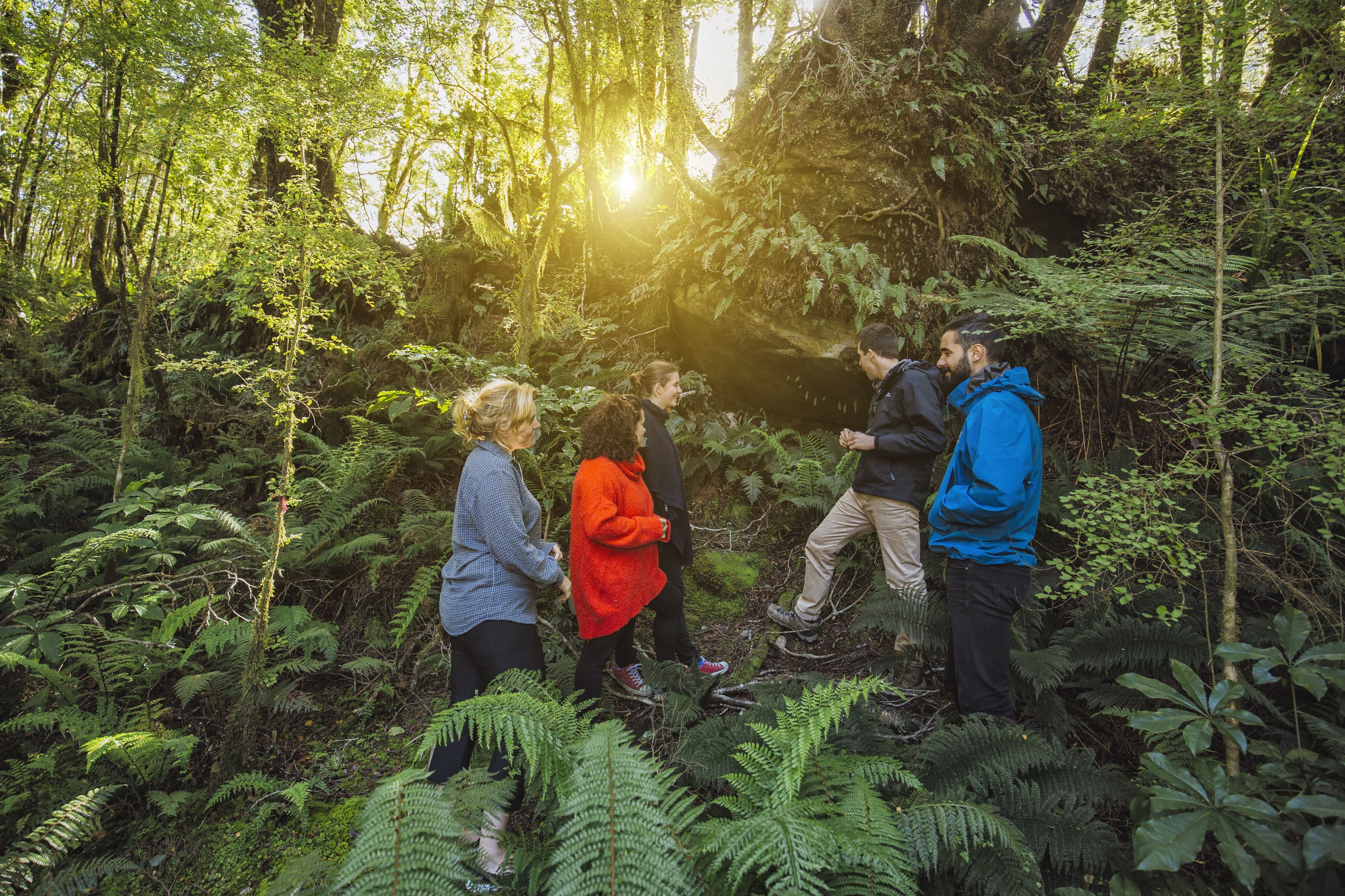 Menschengruppe bei Wanderung im Wald