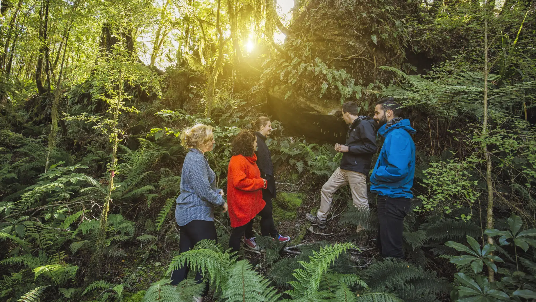 Menschengruppe bei Wanderung im Wald