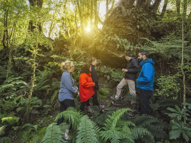Menschengruppe bei Wanderung im Wald