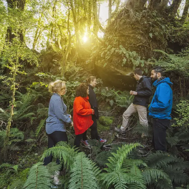 Menschengruppe bei Wanderung im Wald
