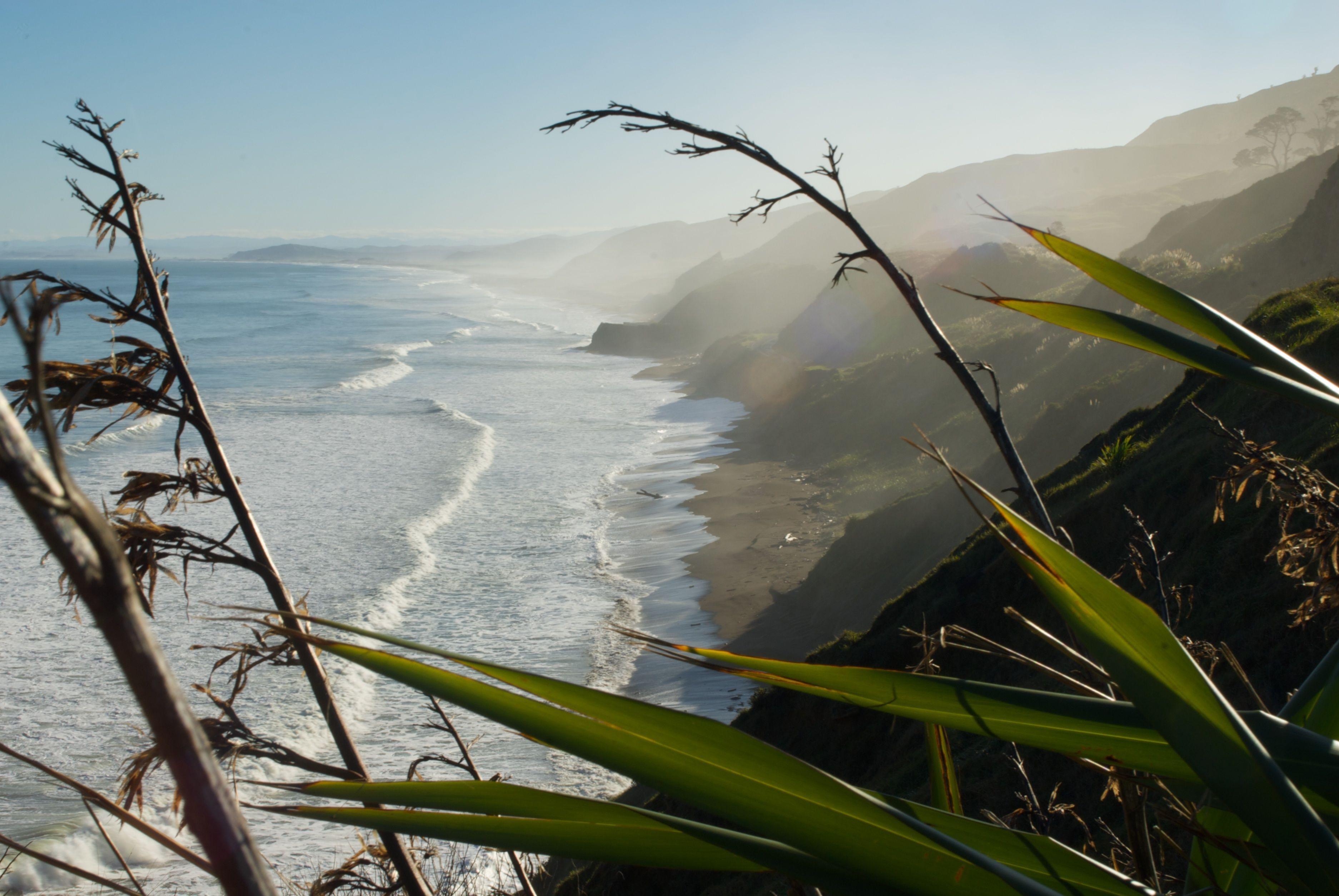 Hawkes bay