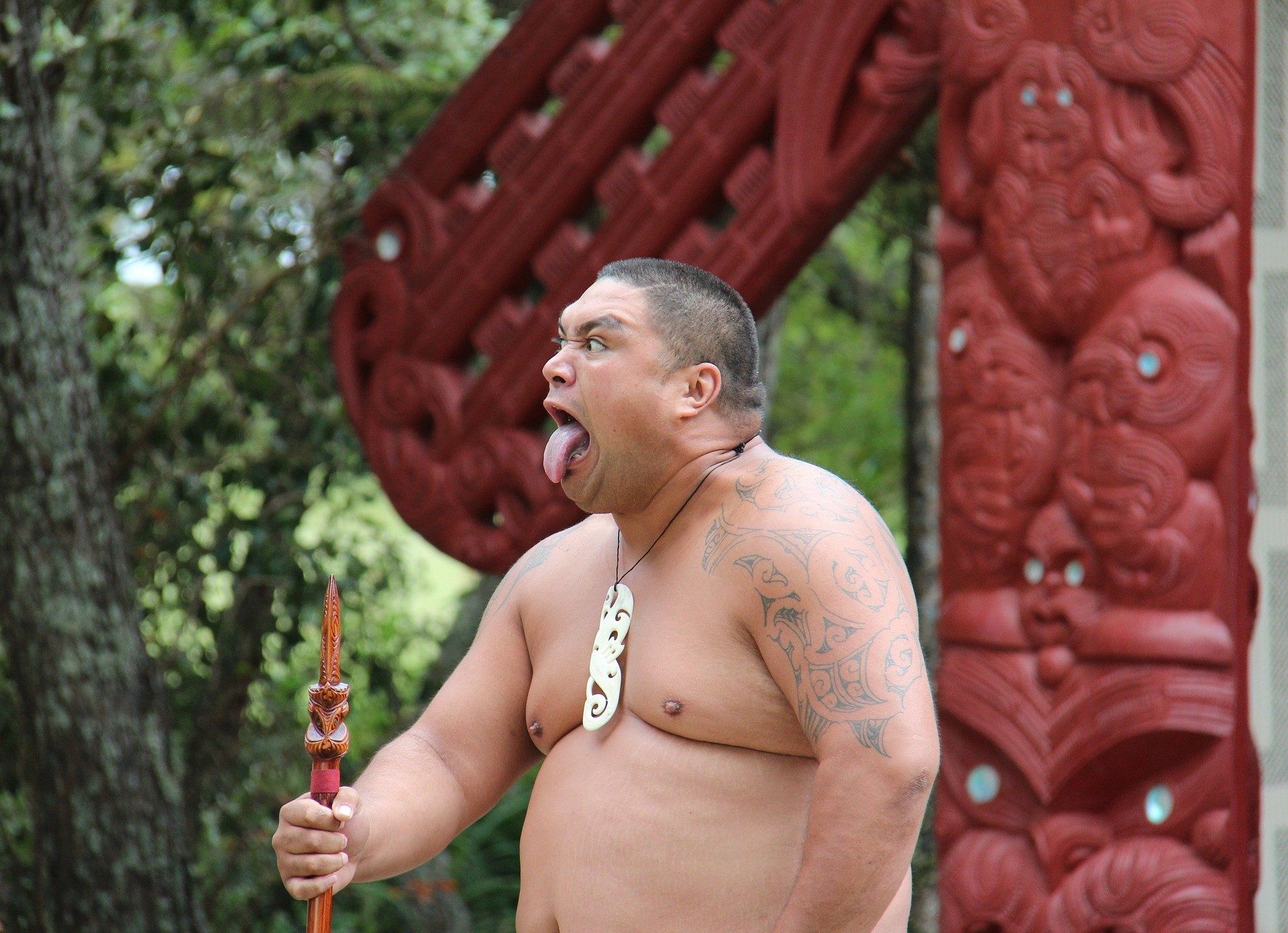 Maori steckt Zunge heraus