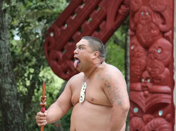 Maori steckt Zunge heraus