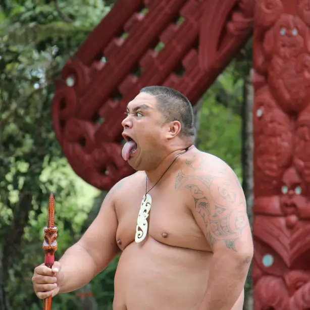 Maori steckt Zunge heraus